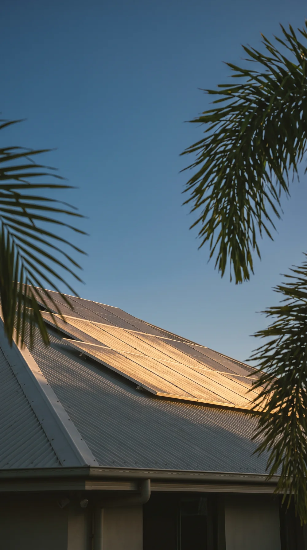 All-black solar panels on a metal roof framed by palm fronds against a blue sky